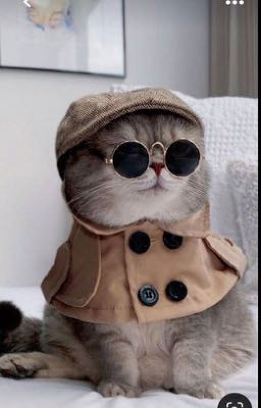 Приключения