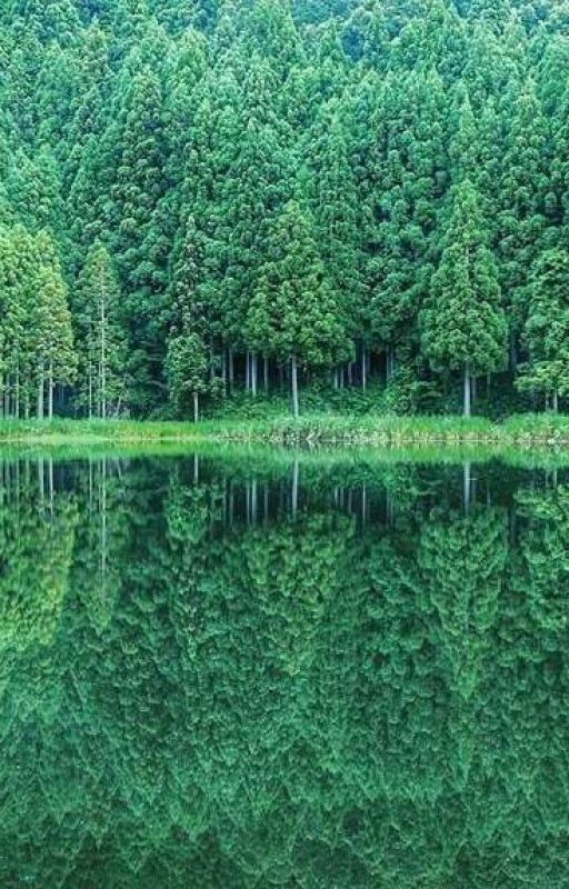 Истинная Альфа-самка