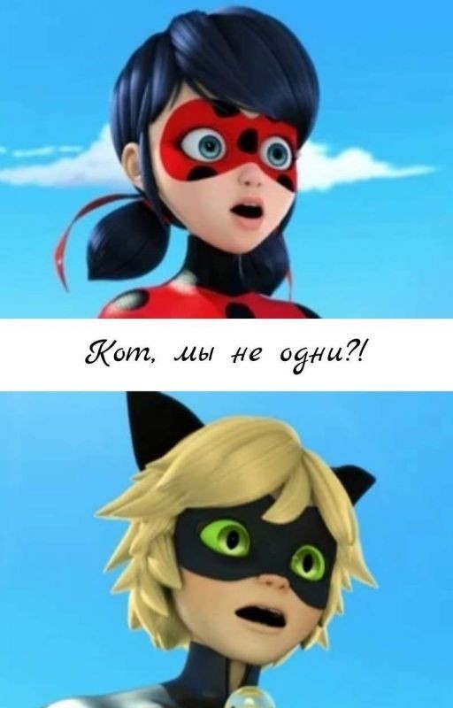 Кот, мы не одни?!