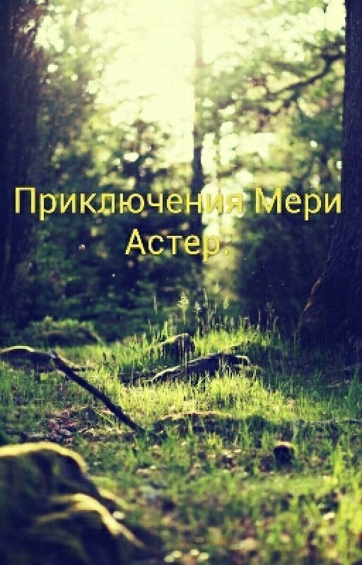 Приключения Мери Астер