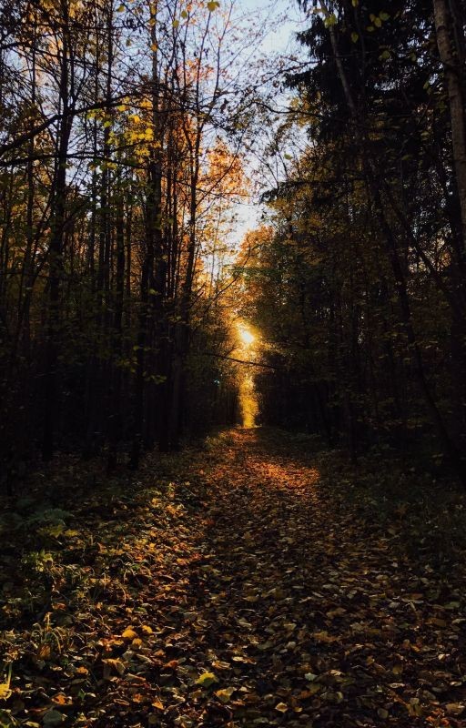 Сноп искр среди темноты