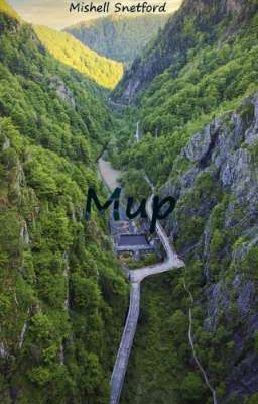 Мир