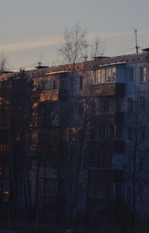 Е.Алёхин  «Будничный анекдот»