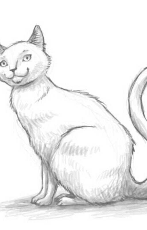 Neon Cat