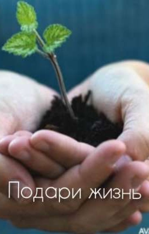 Подари Жизнь