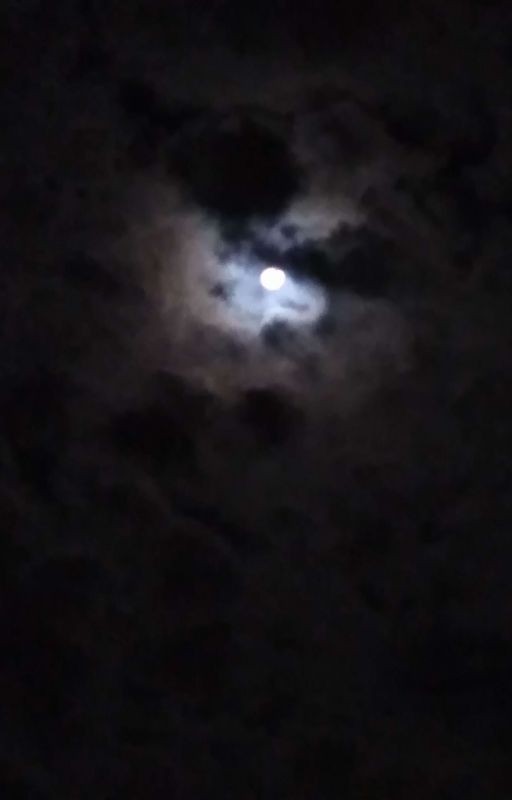 Кандалы
