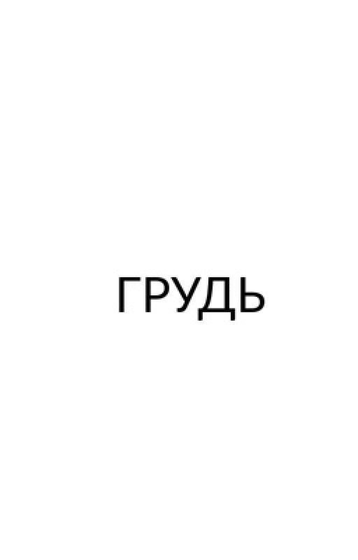 Грудь