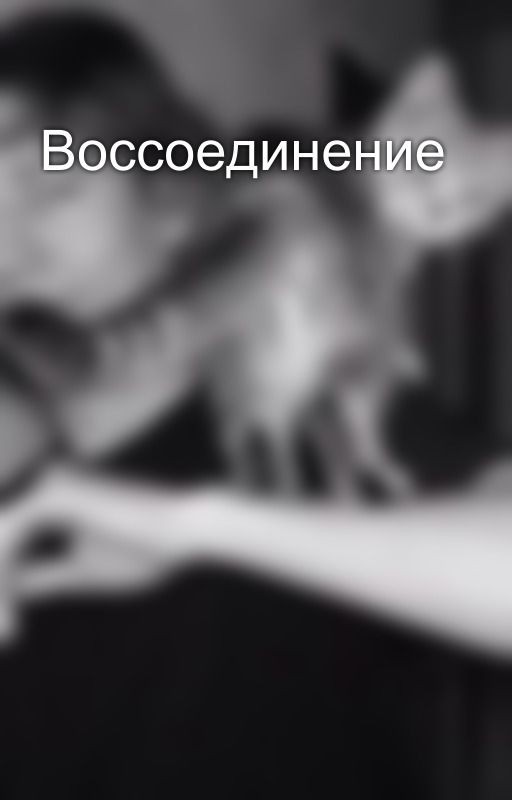 Воссоединение