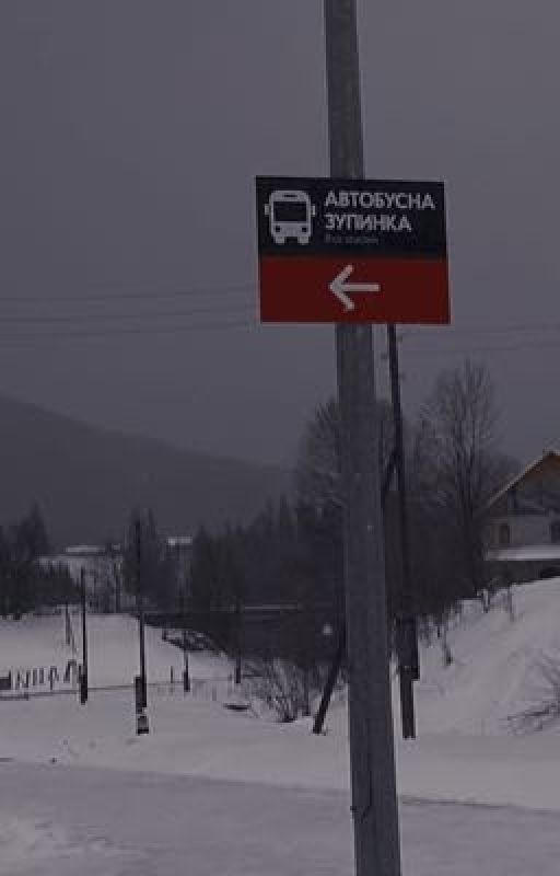 Стихи