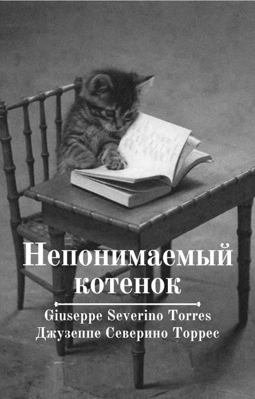 Непонимаемый котенок
