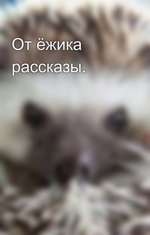 От ёжика рассказы