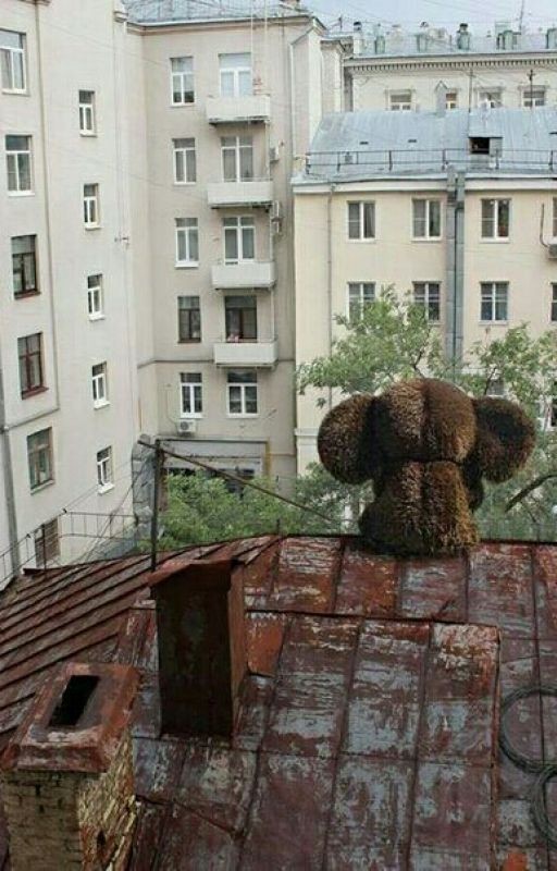 В те ночи светлые, пустые