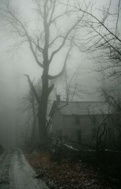 Dark Dream