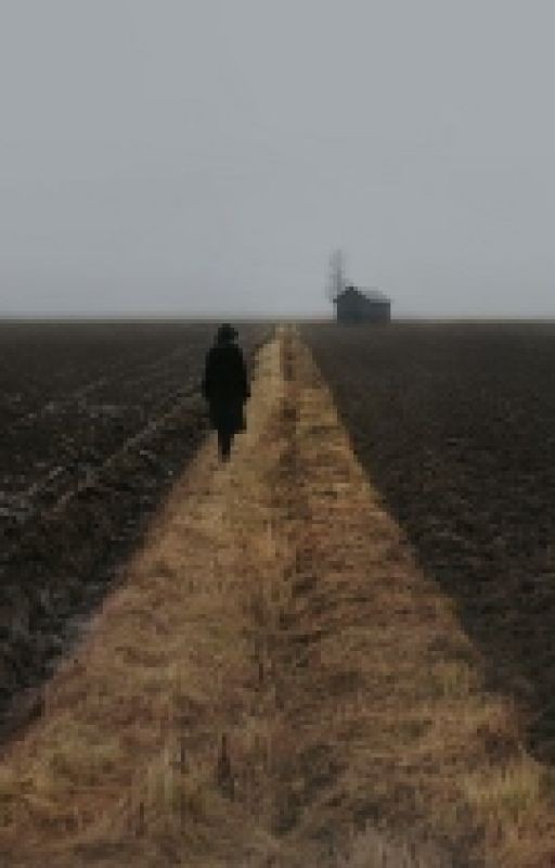 Бескоечное время и трасса