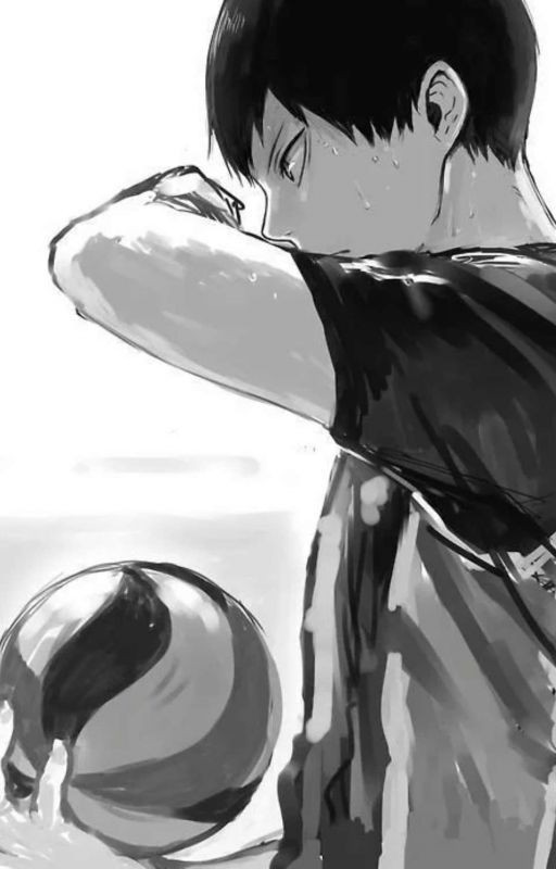 История двух волейболистов. (haikyuu)   [Завершён]