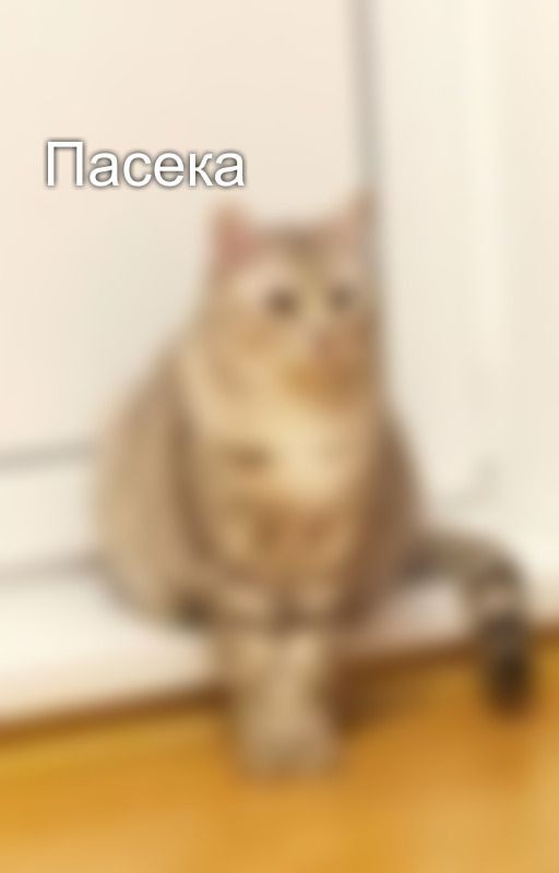 Пасека