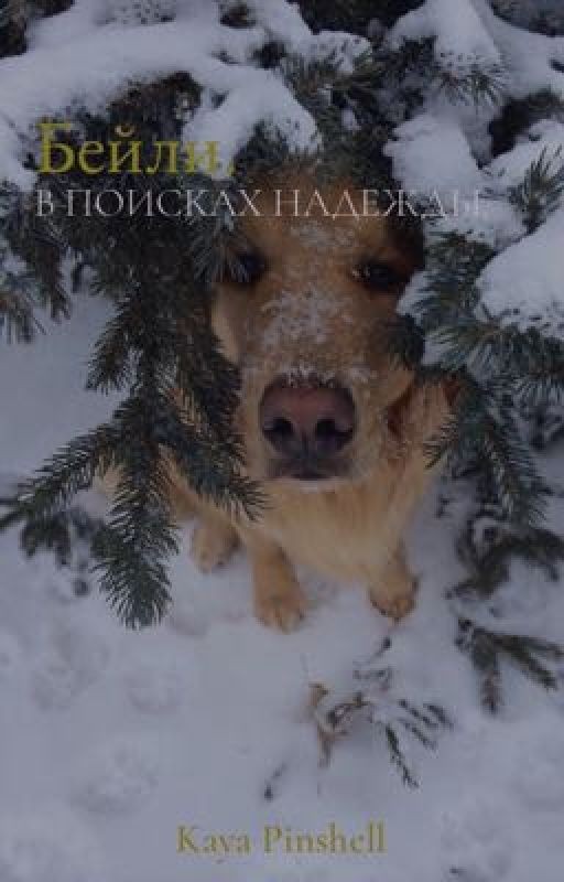Бейли. В поисках надежды