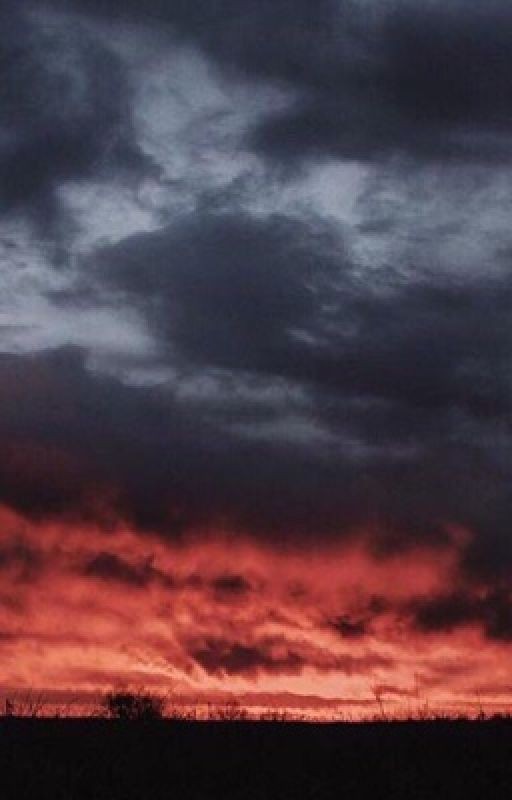 Полюби меня