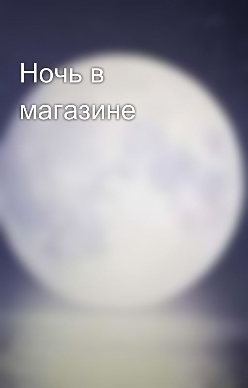Ночь в магазине