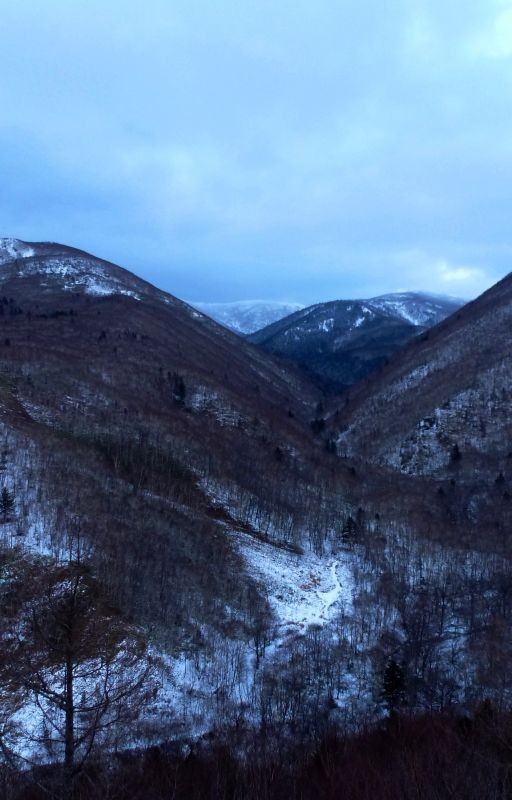 В горах