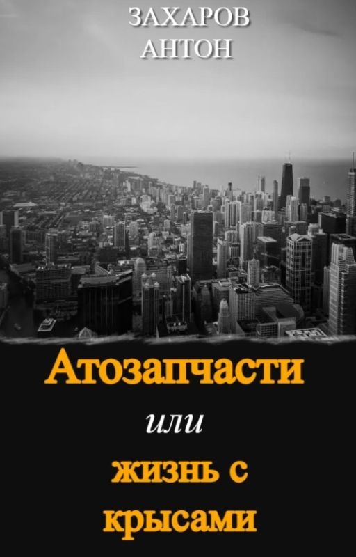 Автозапчасти или жизнь с крысами