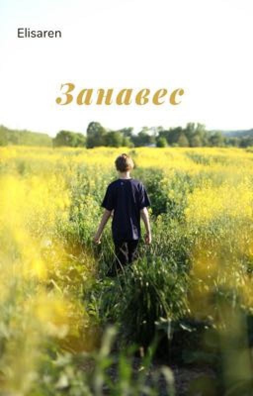 Занавес