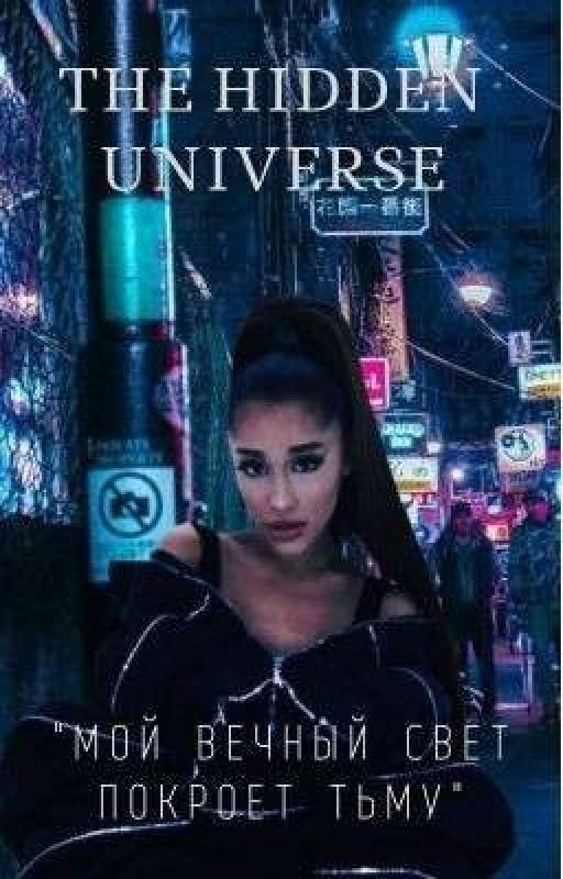 THE HIDDEN UNIVERSE