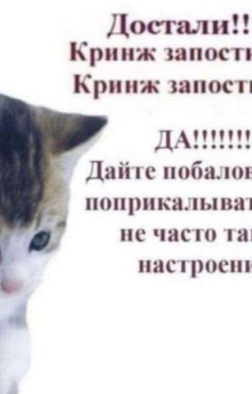нн история