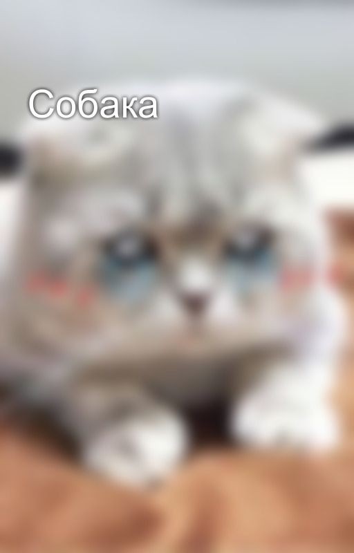 Собака