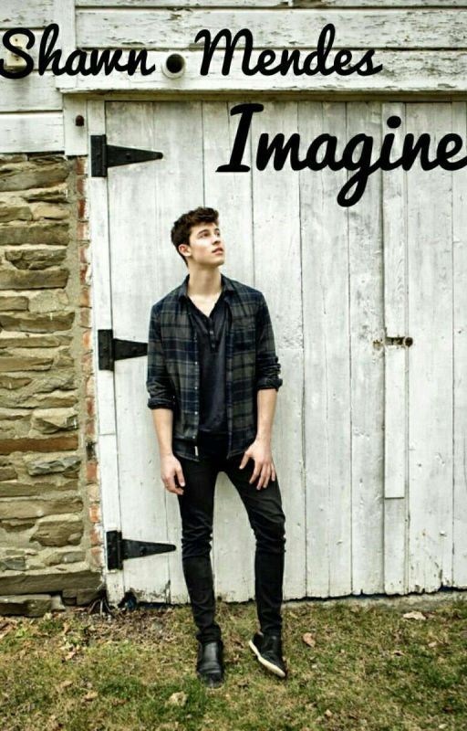 imagine with Shawn Mendes