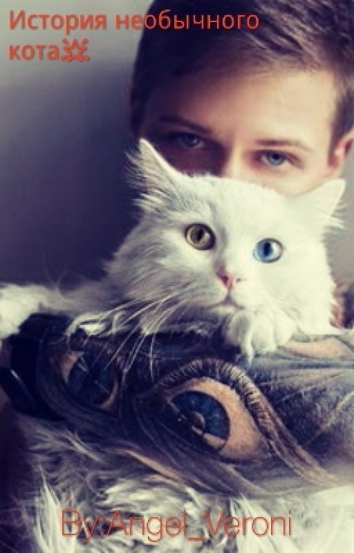История необычного кота