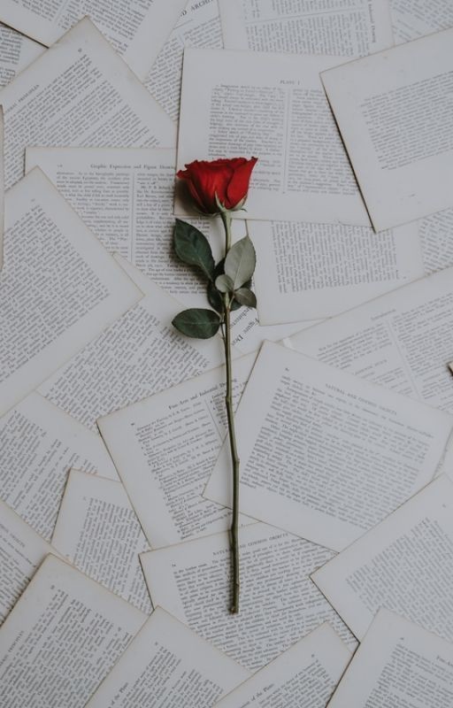 Лучшие книги на Wattpad
