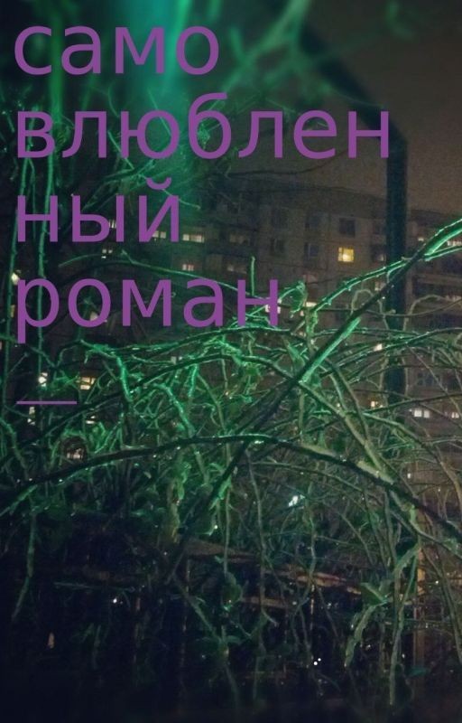Самовлюбленный роман, или Третья четверть