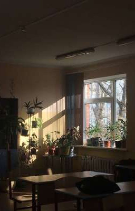 школьная жизнь