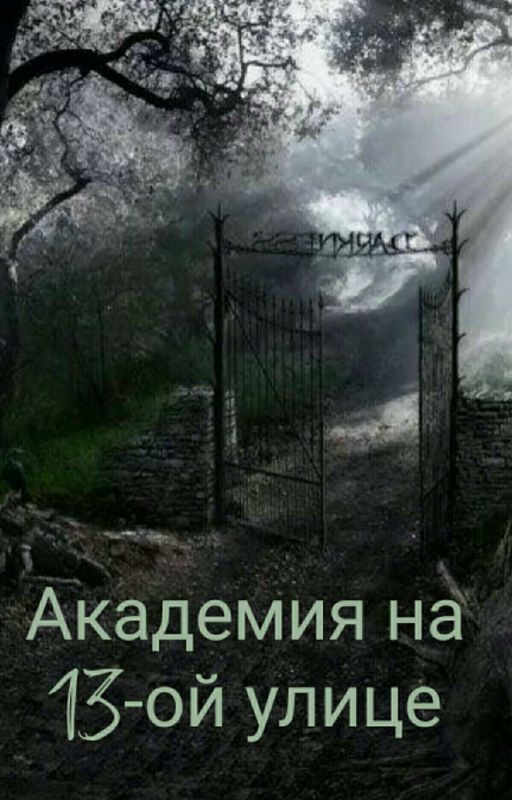 Академия на 13-ой улице