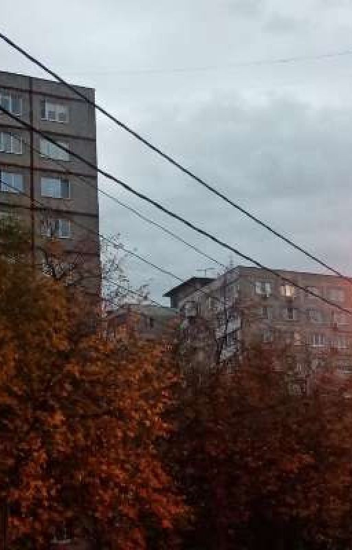 слово пацана реакции на ОЖП