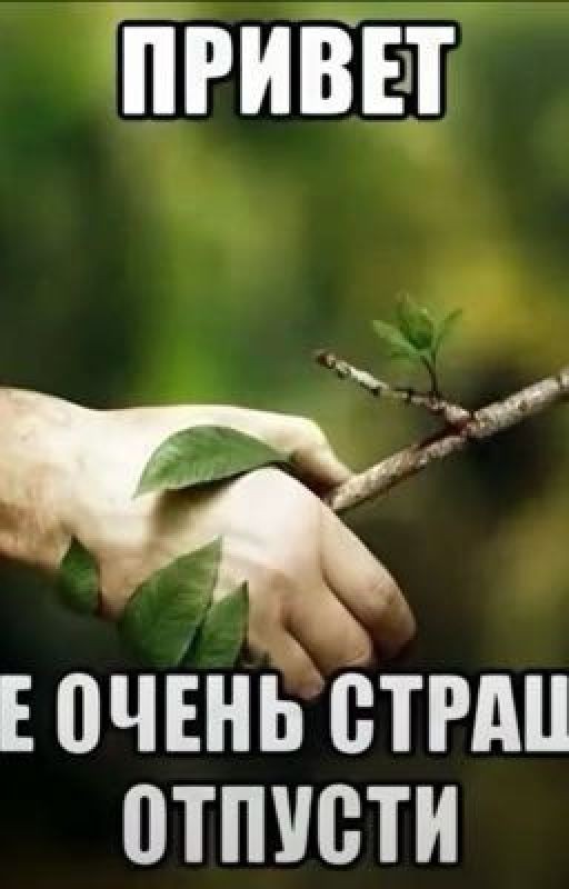 Фф про Дамира и Кирилла