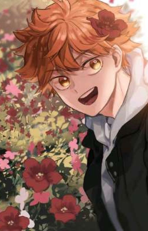 Чат ✨Haikyuu✨ + ФФ☀️