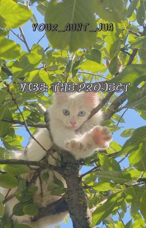 ✧VIBE: the project ✧