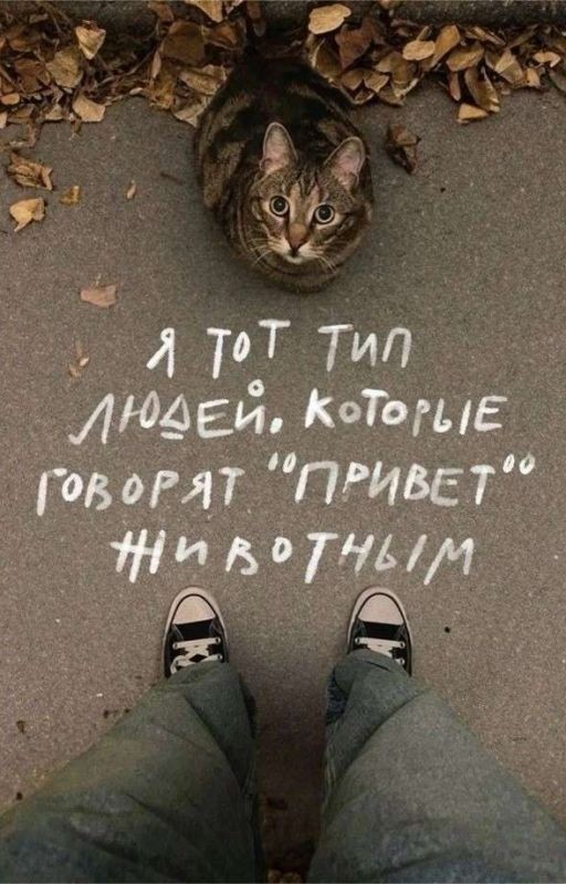 Мини фф + реакции  (Female Т/и и бсд)