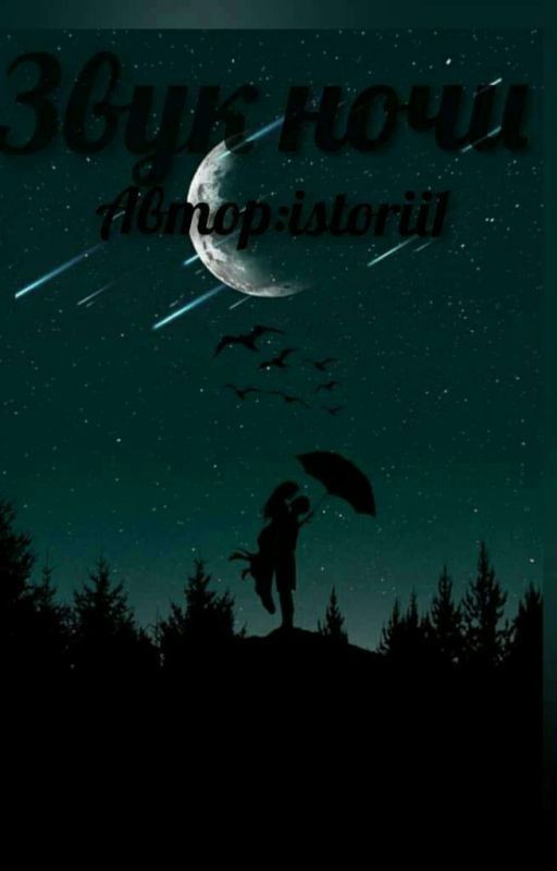 Звук ночи