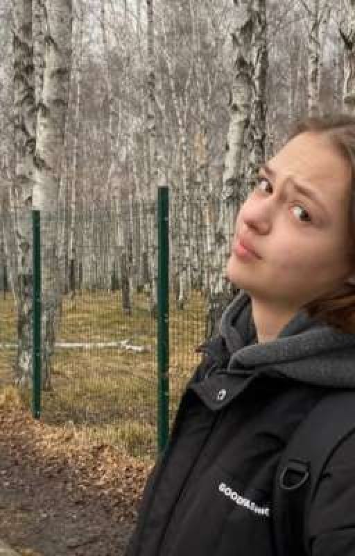 "Дружба" на проекте
