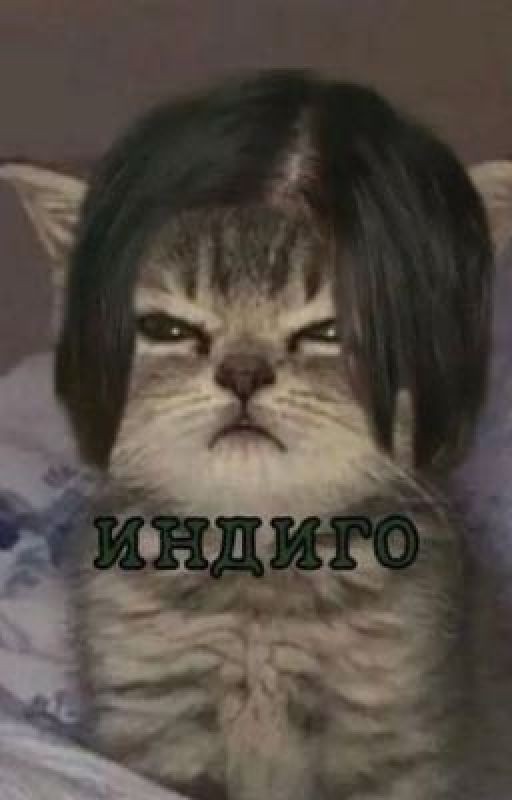 в другой город?!