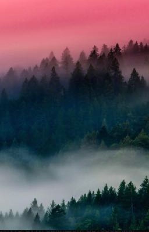 Поход в лес🌳