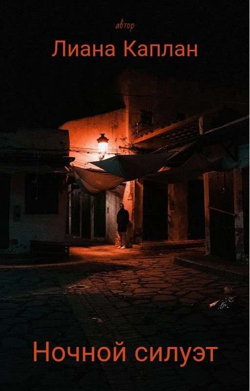 Ночной силуэт