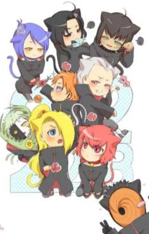 Реакция Акацуки ~°Akatsuki°~