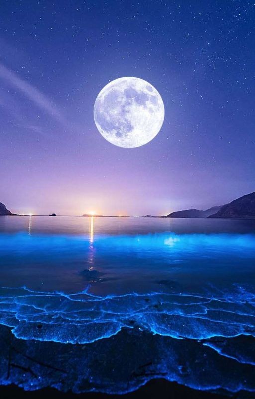 «Волчонок».  моя мечта стала явью (заморожен)