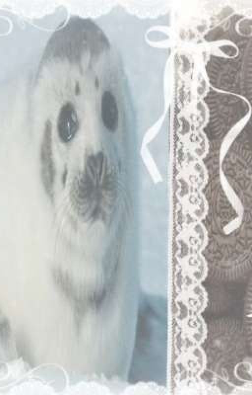 Кофе, наручники, сиропᨶ႒ᩚ