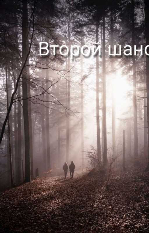 Второй шанс