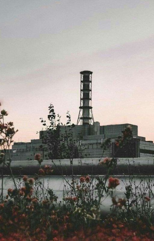Чернобыль зона отчуждения